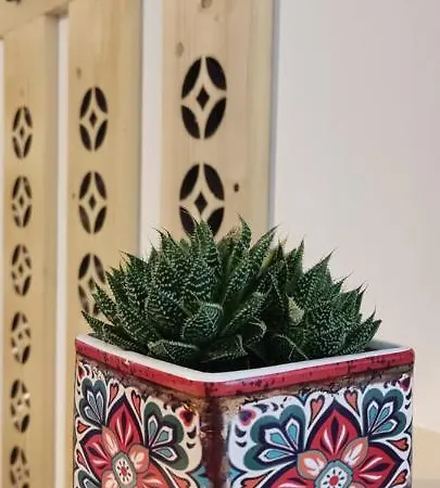 Zakoapartament Brzozowa Διαμέρισμα